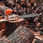 8 Best Chainsaws for Women to buy in 2021 - Reviews